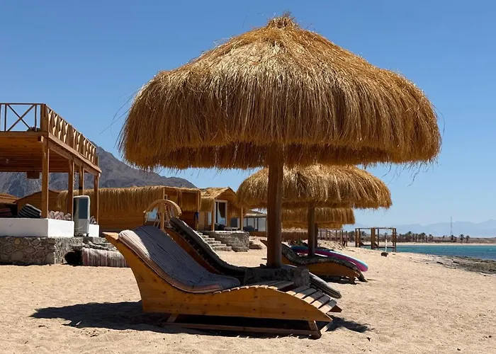 Bedouin House Camp بيت خشبي نويبع