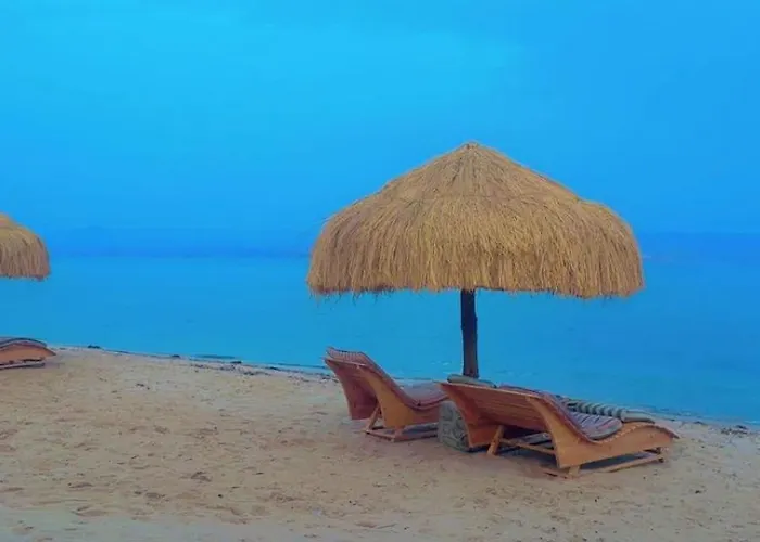 Bedouin House Camp بيت خشبي