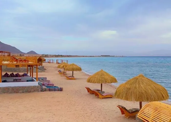 Bedouin House Camp بيت خشبي