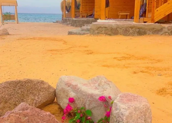 Bedouin House Camp *